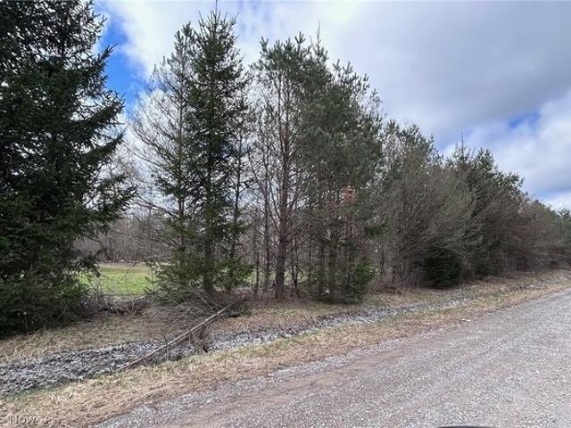 Land for sale in Rock Creek, Ohio