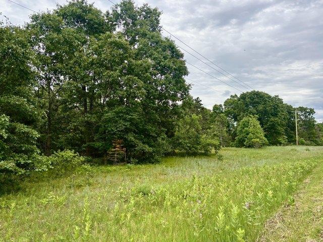 Land for sale in Whitehall, Michigan