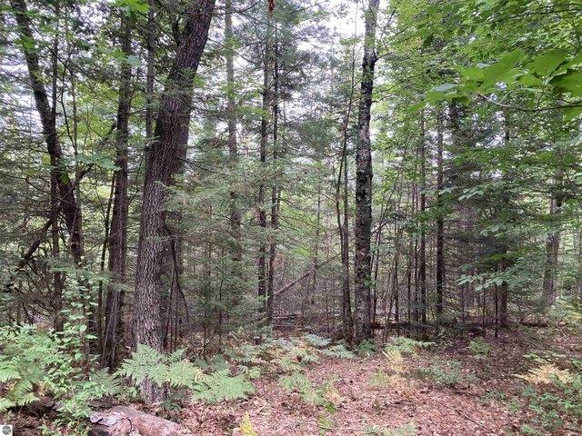 Land for sale in Lupton, Michigan