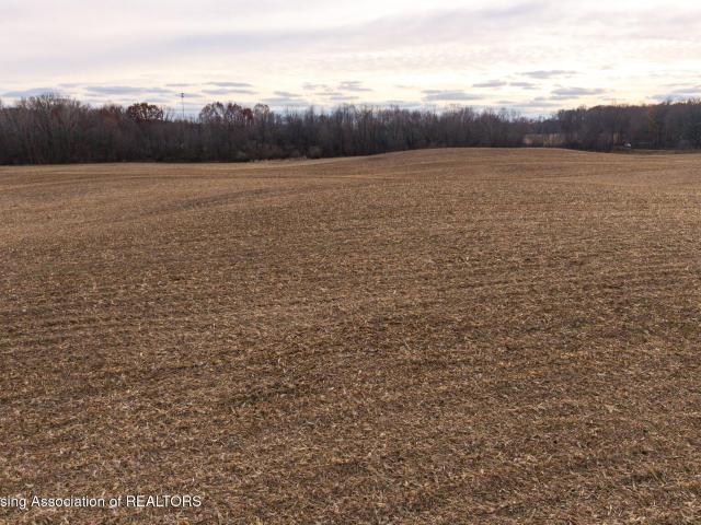 Land for sale in Eaton, Michigan
