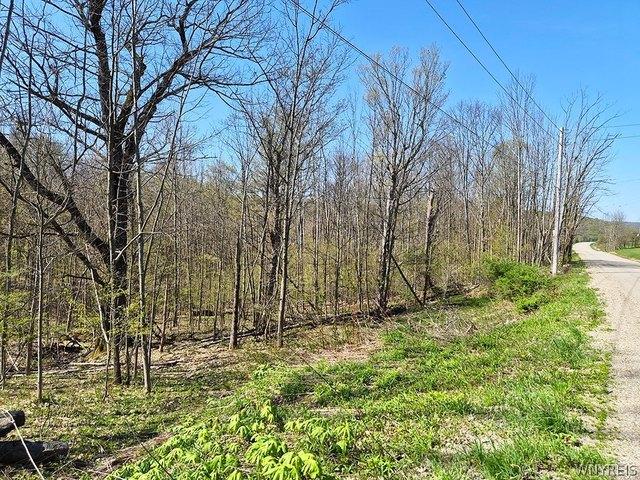 Land for sale in Salamanca, New York