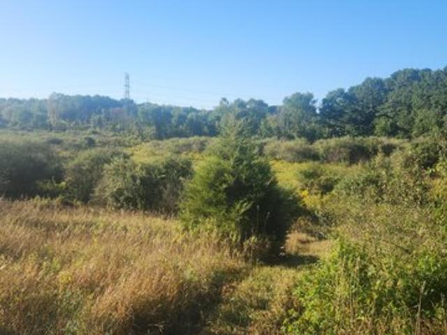 Land for sale in Sheridan, Michigan