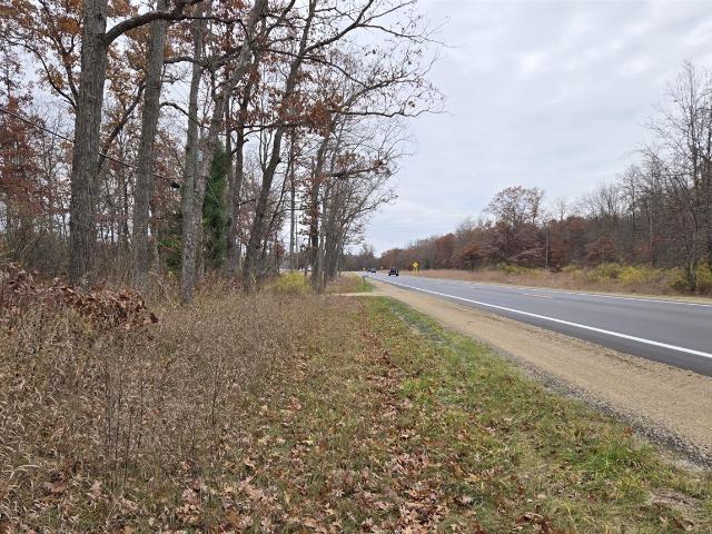 Land for sale in Bitely, Michigan