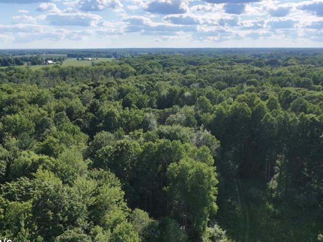 Land for sale in Sidney, Michigan
