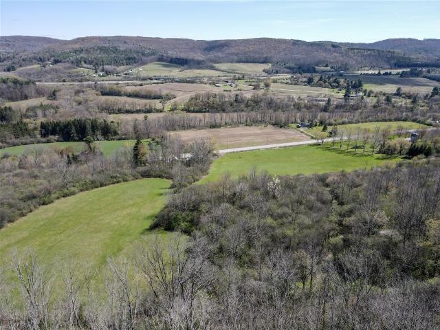 Land for sale in Angelica, New York