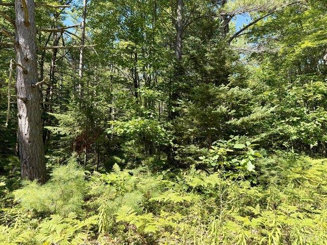 Land for sale in Cheboygan, Michigan