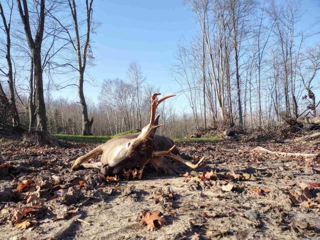 Land for sale in Michigan