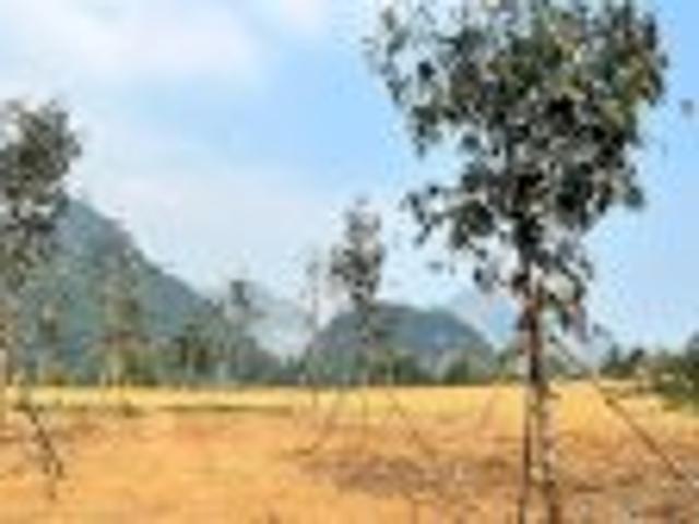 Bất động sản bán tại Hải Phòng
