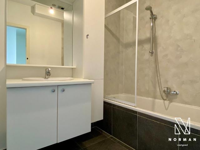 Appartement location à Harelbeke, West-Vlaanderen