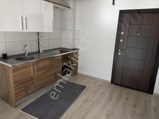 Aydin içerisinde kiralık mülk