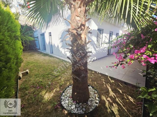 Kuşadasi, Aydin içerisinde kiralık Villa