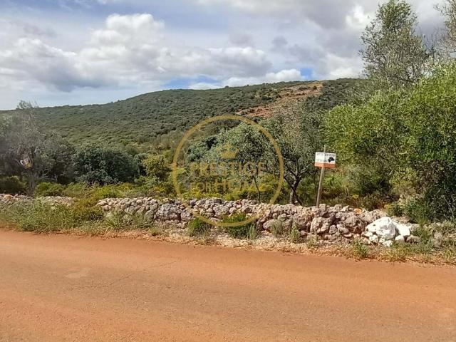 Terreno venda em Loulé, Faro