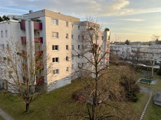 Etagenwohnung kaufen in Linz, Freinberg