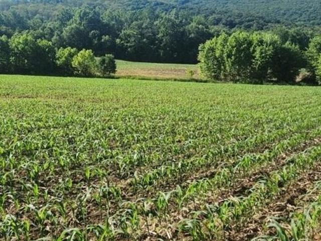 Land for sale in Milton
