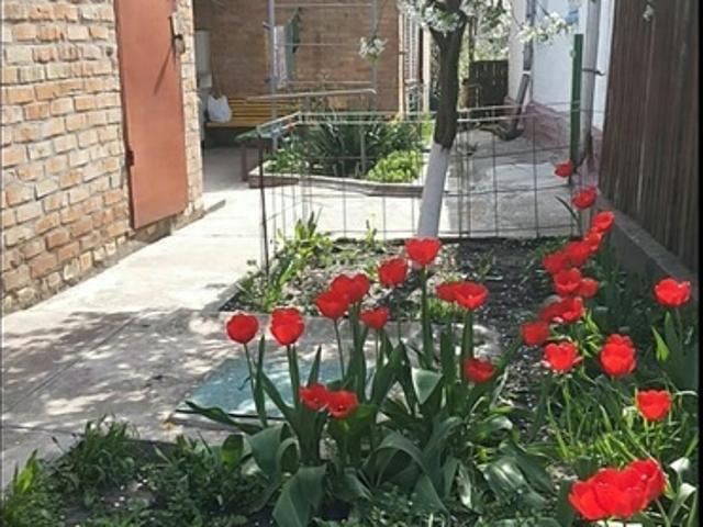 Дом продажа в Тернопольской области