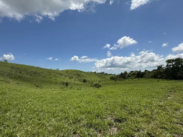 Terreno venta en Chiriquí, David