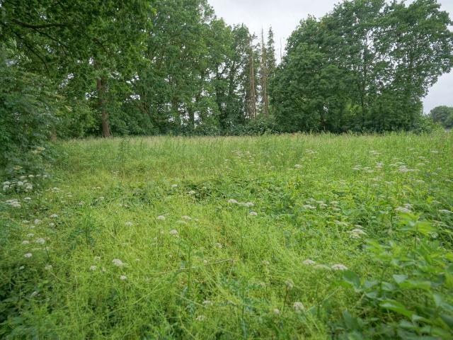 Erdgeschosswohnung kaufen in Frelsdorf, Beverstedt