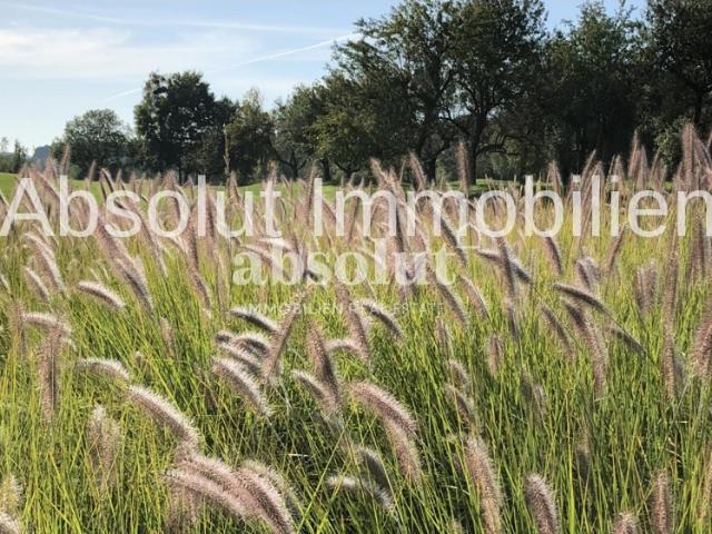 Grundstück kaufen in Zell am See, Salzburg