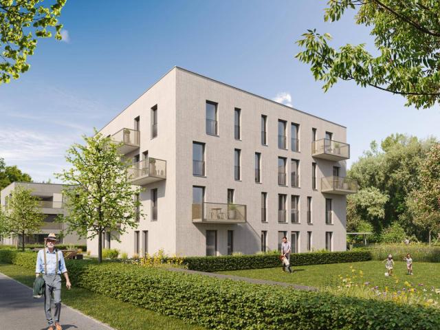 Apartment mieten in Rohrbach, Dornbirn