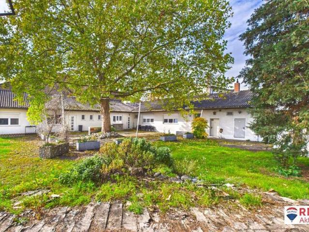 Gewerbe kaufen in Gänserndorf, Niederösterreich