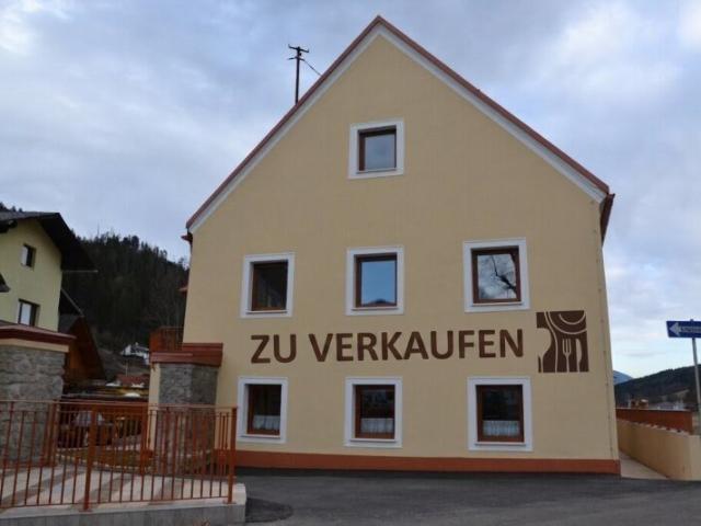 Gewerbe kaufen in Kapfenberg, Steiermark