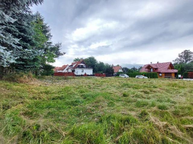 Erdgeschosswohnung kaufen in Bad Schandau, Sächsische Schweiz-Osterzgebirge