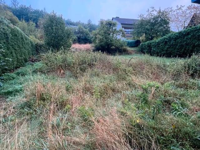 Landwirtschaft kaufen in Netphen, Nordrhein-Westfalen