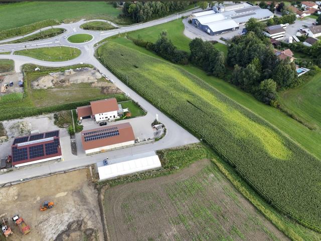 Erdgeschosswohnung kaufen in Fuchshub, Reischach