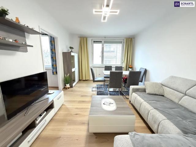 Apartment mieten in Wien