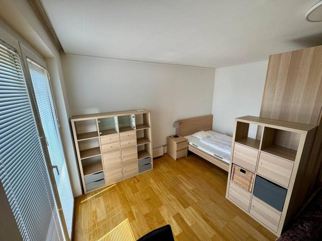 Apartment mieten in Geidorf, Gersdorf-Feistritz