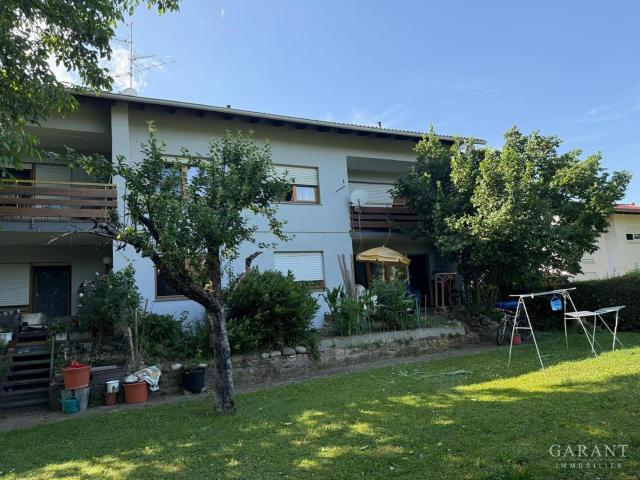 Mehrfamilienhaus kaufen in Klettgau, Baden-Württemberg