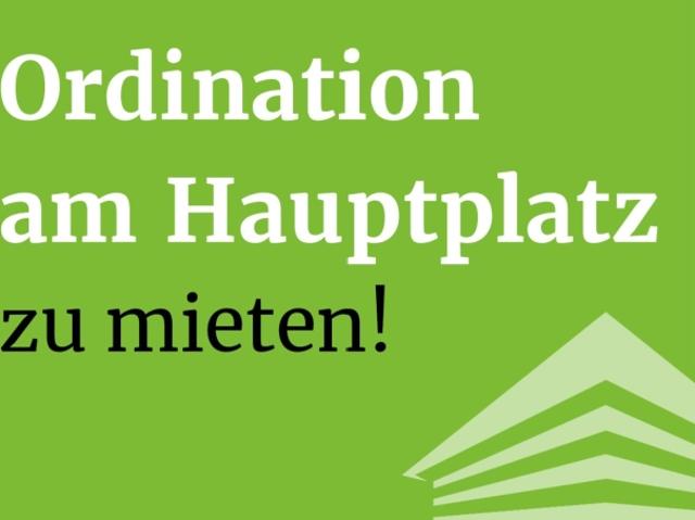 Gewerbe mieten in Altstadtviertel, Linz