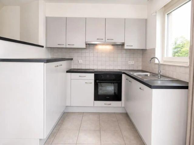 Maison location à Hamme, Oost-Vlaanderen
