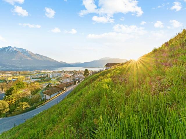 Immobilie kaufen in Gordola, Tessin
