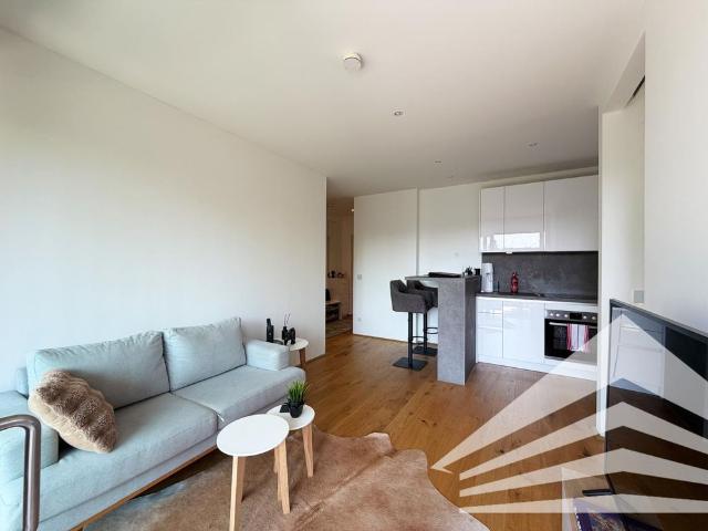 Apartment mieten in Dornach-Auhof, Linz