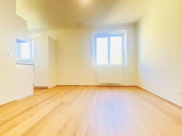Apartment mieten in Krems an der Donau, Niederösterreich