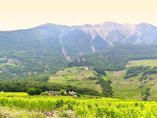 Grundstück kaufen in Fully, Wallis