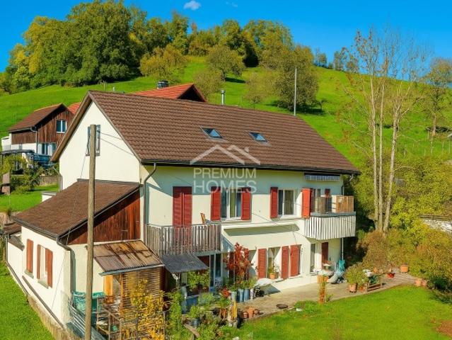 Einfamilienhaus kaufen in Selzach, Solothurn