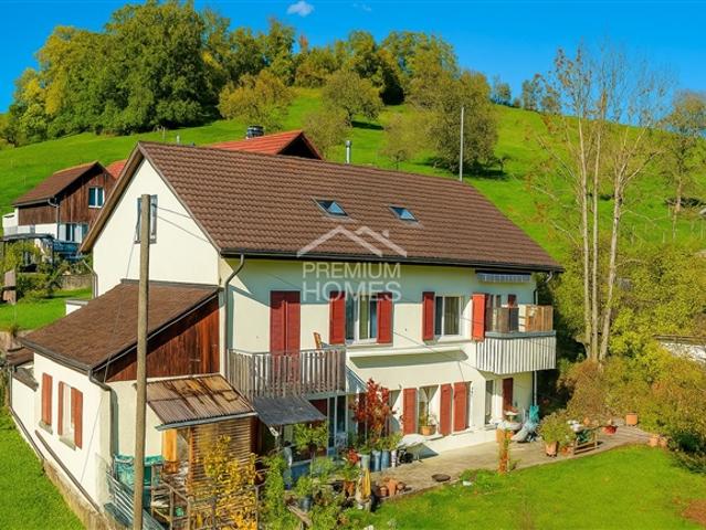 Einfamilienhaus kaufen in Selzach, Solothurn