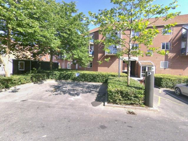 Hus til leje i Vejle