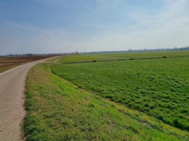 Terreno in vendita a Volta Mantovana, Lombardia