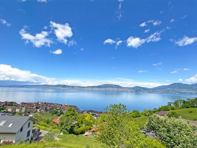 Einfamilienhaus kaufen in Saint-Gingolph, Wallis