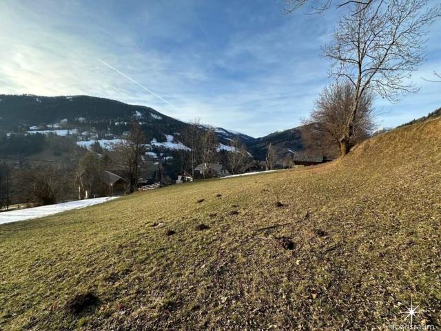 Grundstück kaufen in Edling, Spittal an der Drau