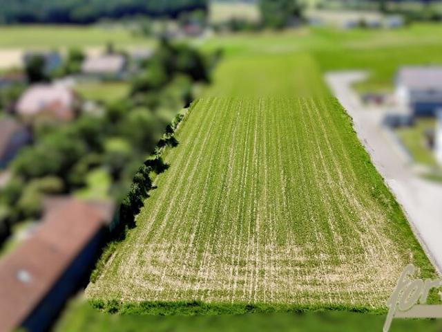 Grundstück kaufen in Kirchstetten, Niederösterreich
