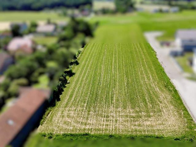 Grundstück kaufen in St. Pölten, Niederösterreich