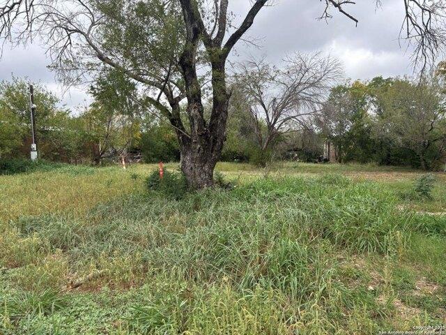 Land for sale in Atascosa, Texas