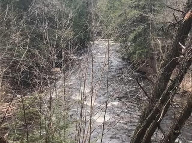 Land for sale in New York