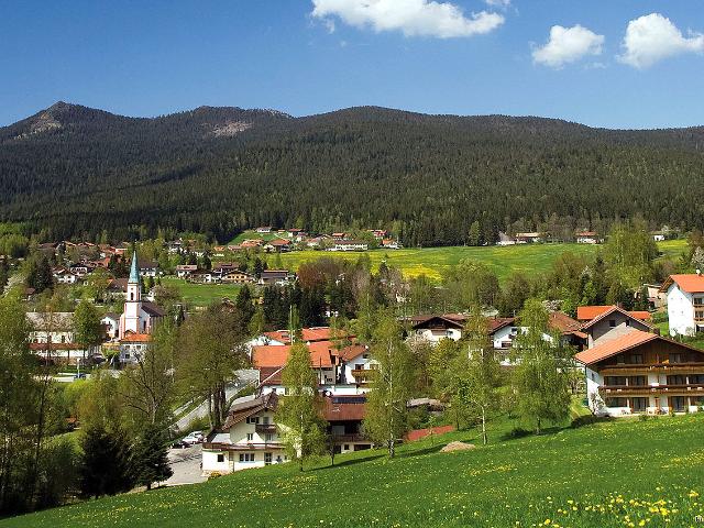 Wohnung kaufen in Lohberg, Bayern
