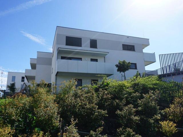 Apartment kaufen in Ried im Innkreis, Oberösterreich