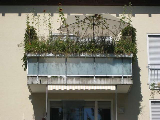 Apartment mieten in Herbede, Witten